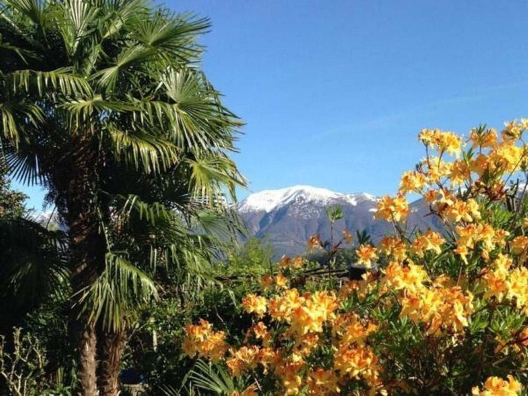 """Casa Elena -Tegna"" Die Ruheoase In Grossem Garten" Εξωτερικό φωτογραφία